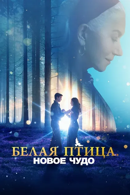 Иржи Войта